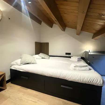 Duplex En El Puente Historico, Gra De Fajol Apartment Camprodon