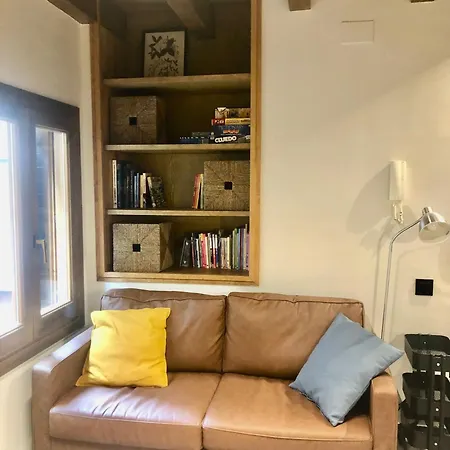 Duplex En El Puente Historico, Gra De Fajol Apartment Camprodon